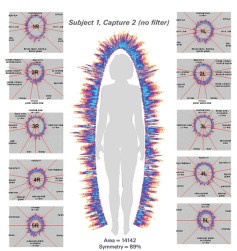 imagen cuerpo 2 Estudio Sanacion Reconectiva GDV campo energetico