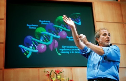 La biología de la creencia