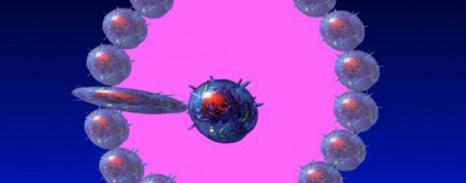 célula bruce lipton