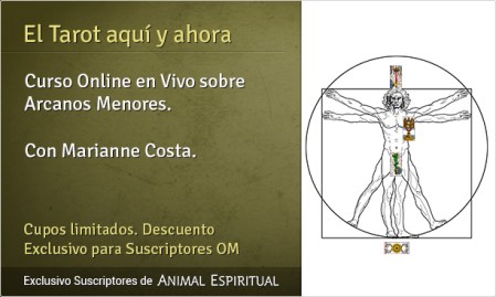 131114-el-tarot-aqui-y-ahora