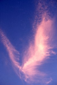 AngelCloud2