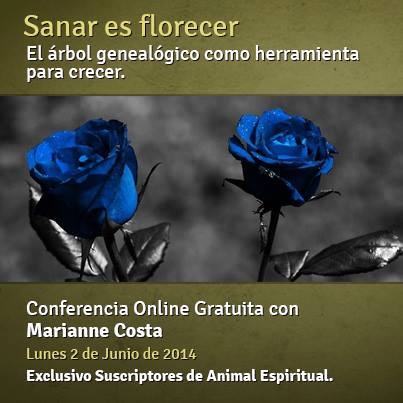 conferencia online marianne costa