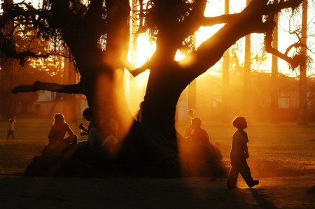 Significado-de-la-Vida