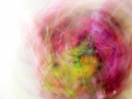 Beatriz Depares - El gato verde