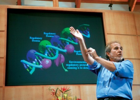 bruce lipton adn