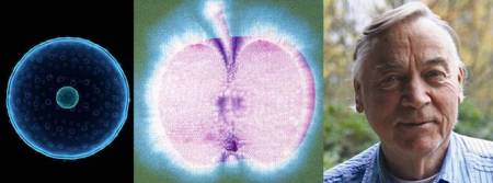 csm_pix_headP_DrPopp_a544b50f0e