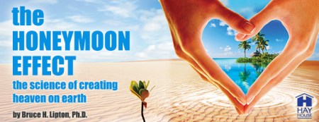 honeymoon-effect