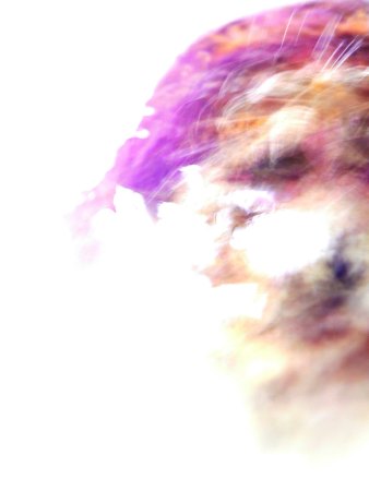 Beatriz Depares - Perro