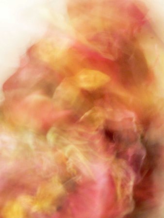 Leona_ Beatriz Depares