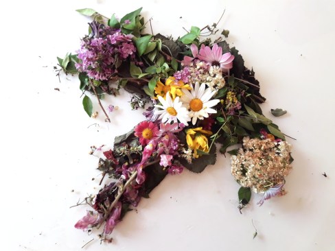 utero1 - B. Depares Martinez