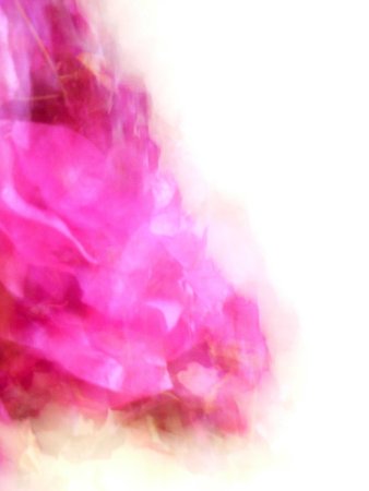 Beatriz Depares - Caballo Perfil