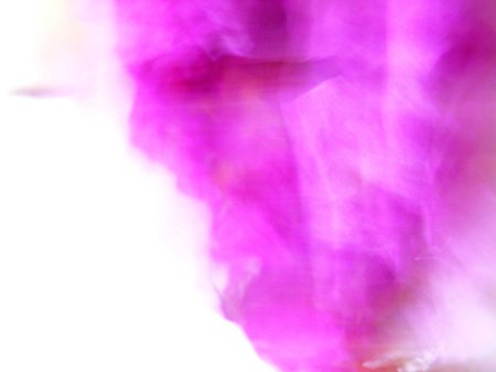 Beatriz Depares - Mirada