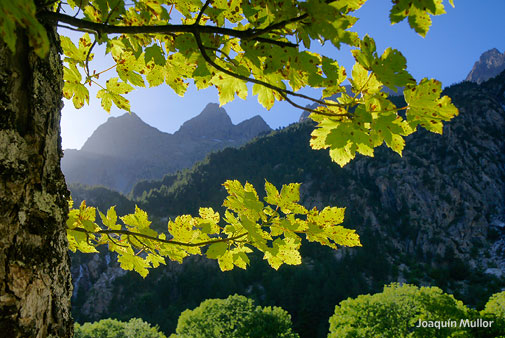 Foto Joaquin Mullor_14