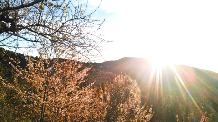 Depares - Sol amanecer