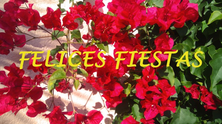 felices-fiestas3